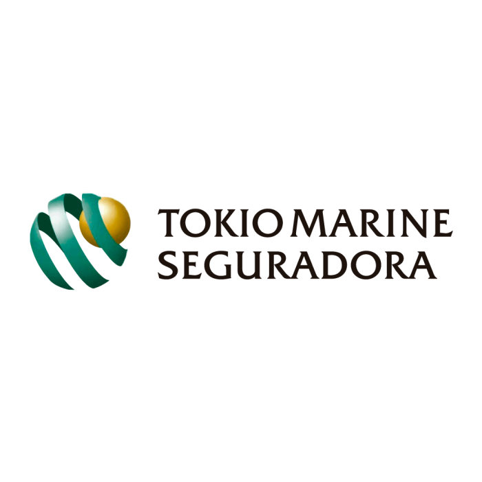 Logomarca Tokio Marine. Falando sobre qual o melhor seguro auto online.